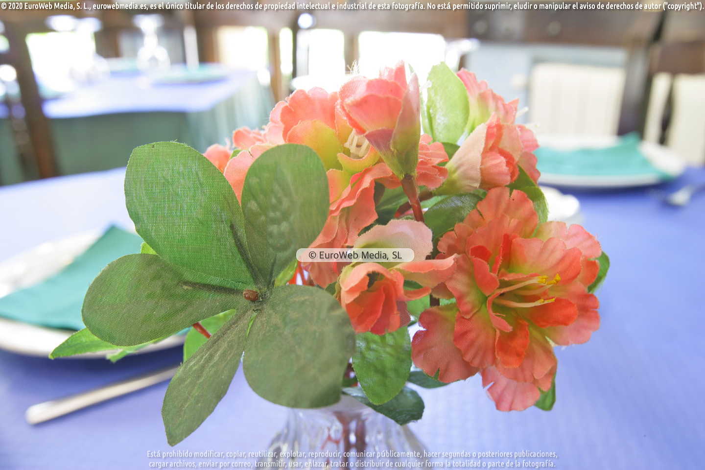 Restaurante Sidrería Carión: Comedor